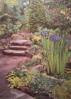 In a formal garden with brown stone path. Irises are nearest and taller shrubs grow as the path leads back and up some stairs.