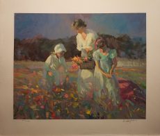 Mother collects poppies in the meadow with her two daughters.