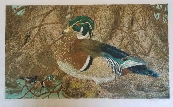 Wood Ducks by Janet Turner