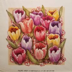 Tulips by Helen Paul