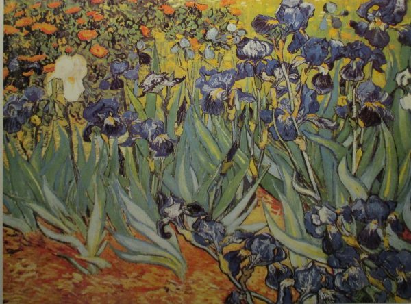 Iris by Vincent Van Gogh