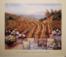 Vineyards to Mt. St. Helens by Ellie Freudenstein