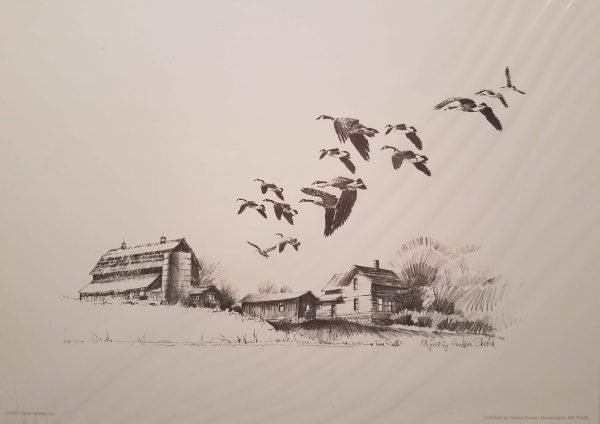 Migratory Honkers Sketch by Terry Redlin